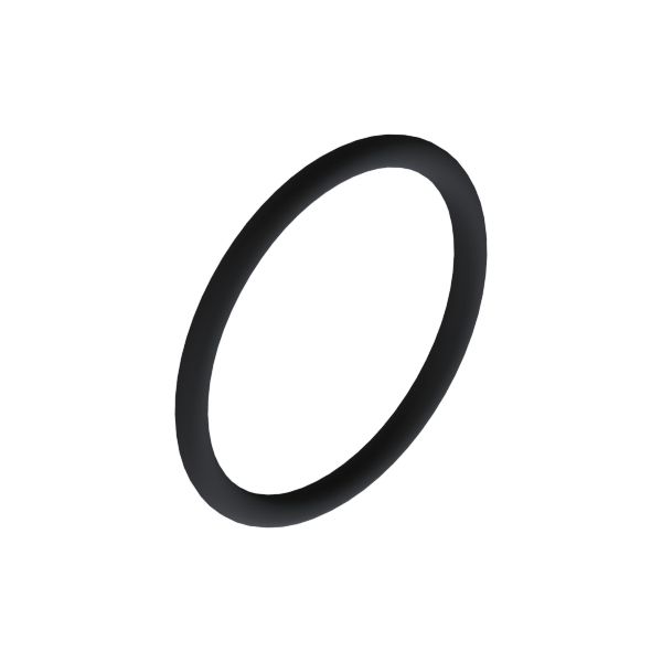 PharmCom-O-RING 1" EPDM DIN11864-A FDA